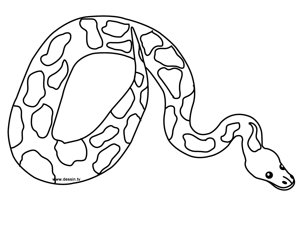 1024x768 Free Printable Snake Coloring Pages For Kids Snake