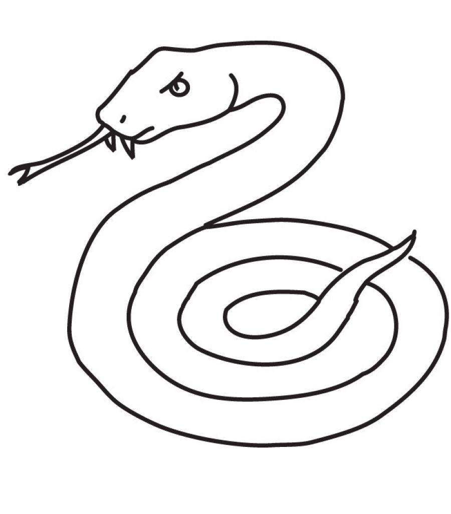 900x1027 Perfect Snake Coloring Pages Printable From Snake Coloring Page