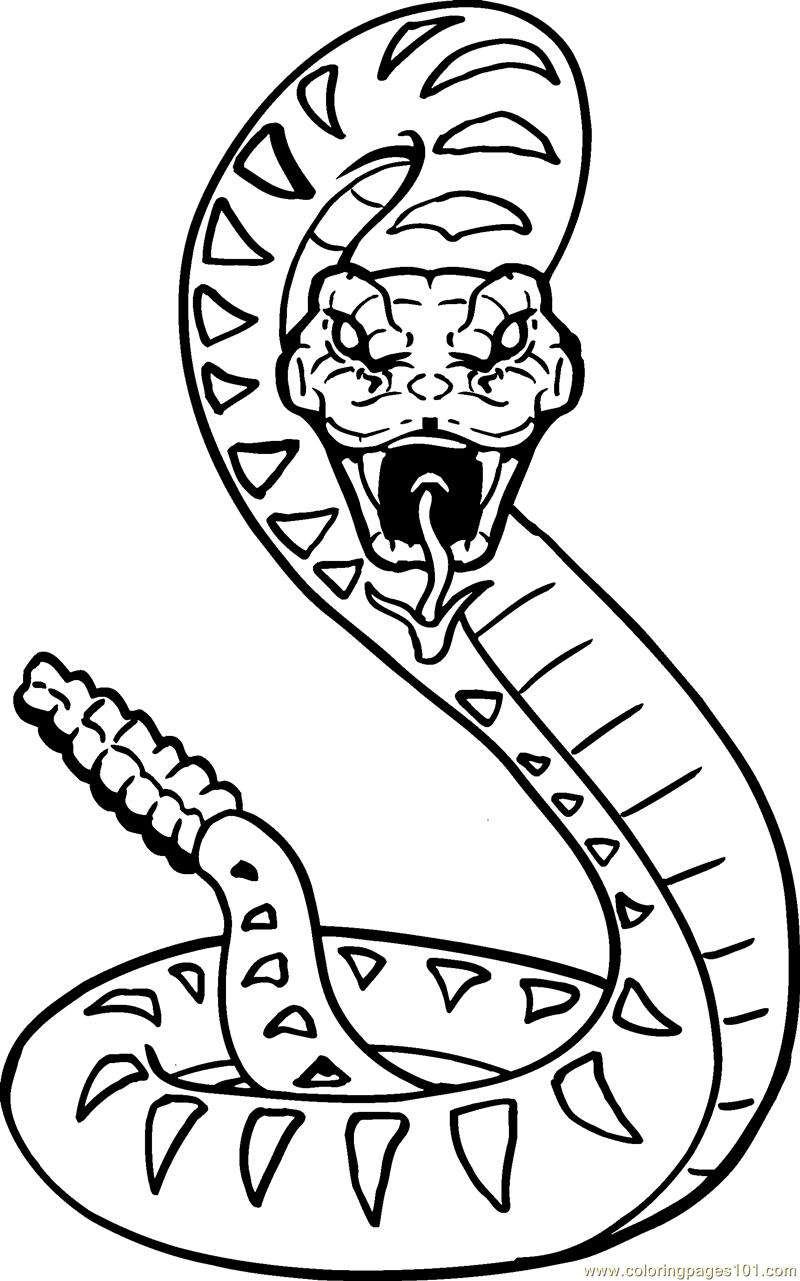 800x1281 Snake 12 Coloring Page