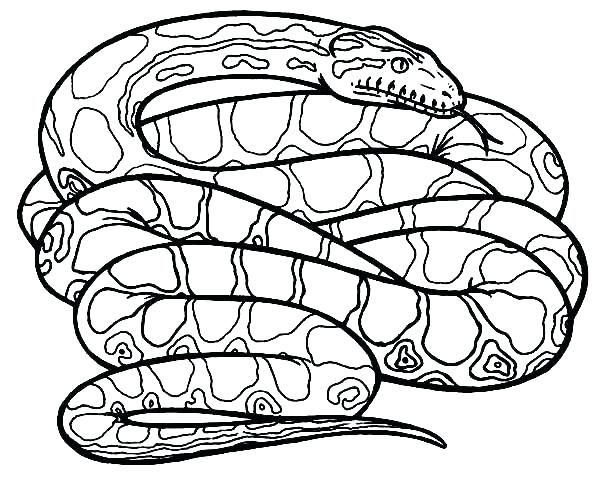 600x488 Snake Coloring Pages Coloring Pages Snakes Coloring Pages