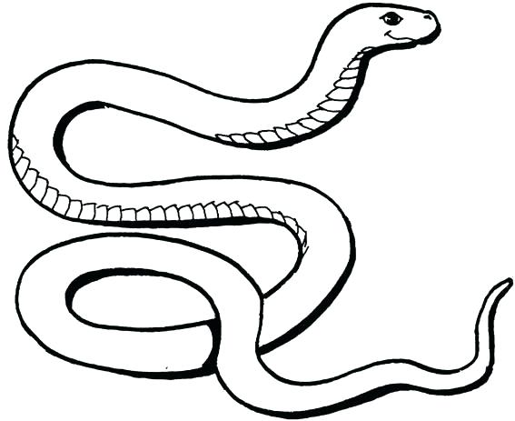 567x463 Snake Coloring Pages Free Snake Coloring Pages To Print Snake
