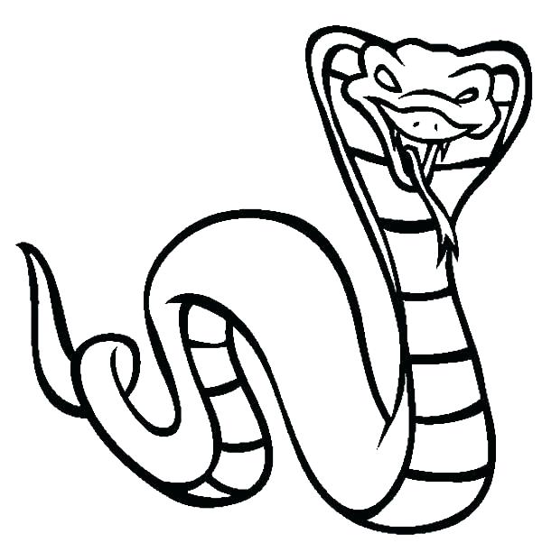 600x612 Cute Snake Coloring Pages