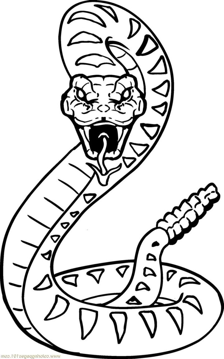 720x1152 Snake Coloring Pages Page 16 Ribsvigyapan Educational Snake Snake