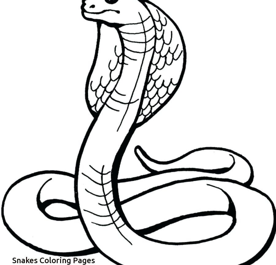 Snake Coloring Pages For Kids at GetColorings.com | Free printable ...