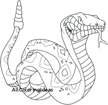 360x350 Coloring Pages Coloring Cobra Snake King Cobra King Cobra Snake