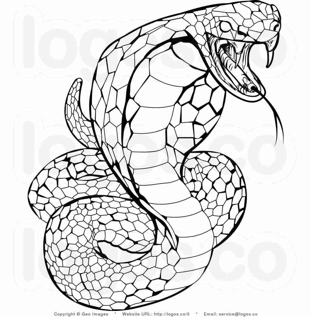 1024x1044 Awesome Pictures Of Snakes To Color Printable Snake Coloring Pages