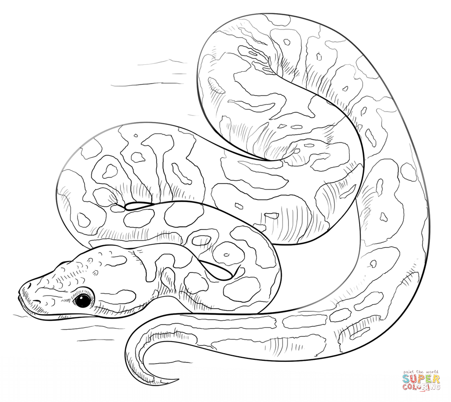 918x818 Snake Coloring Pages Printable Snakes Coloring Pages Free Coloring