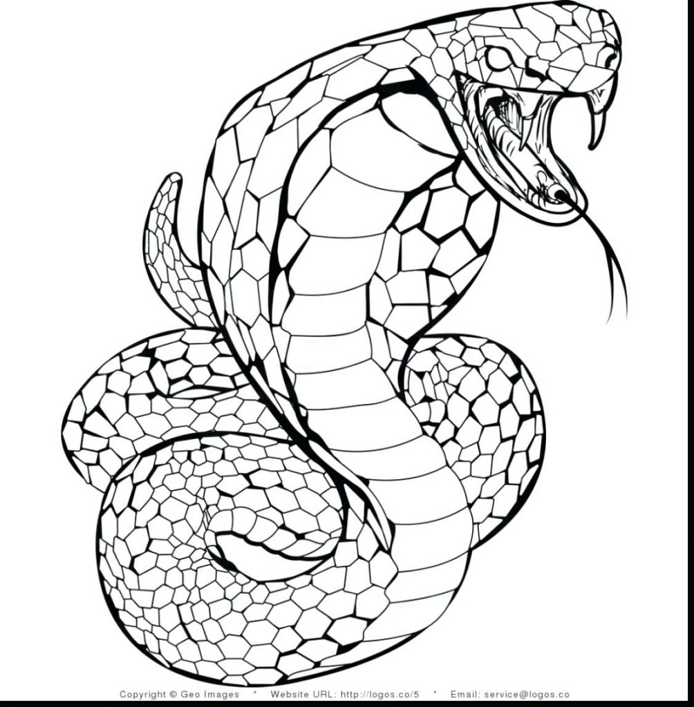 Snakes Printable Coloring Pages