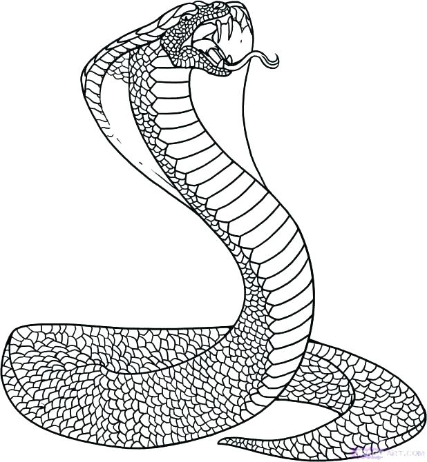 618x670 Anaconda Coloring Page Anaconda Coloring Pages Realistic Desert