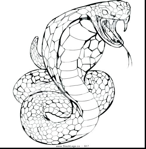 Snake Coloring Pages Realistic at GetColorings.com | Free printable ...