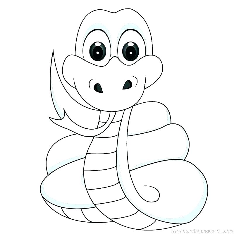800x800 Snake Coloring Page