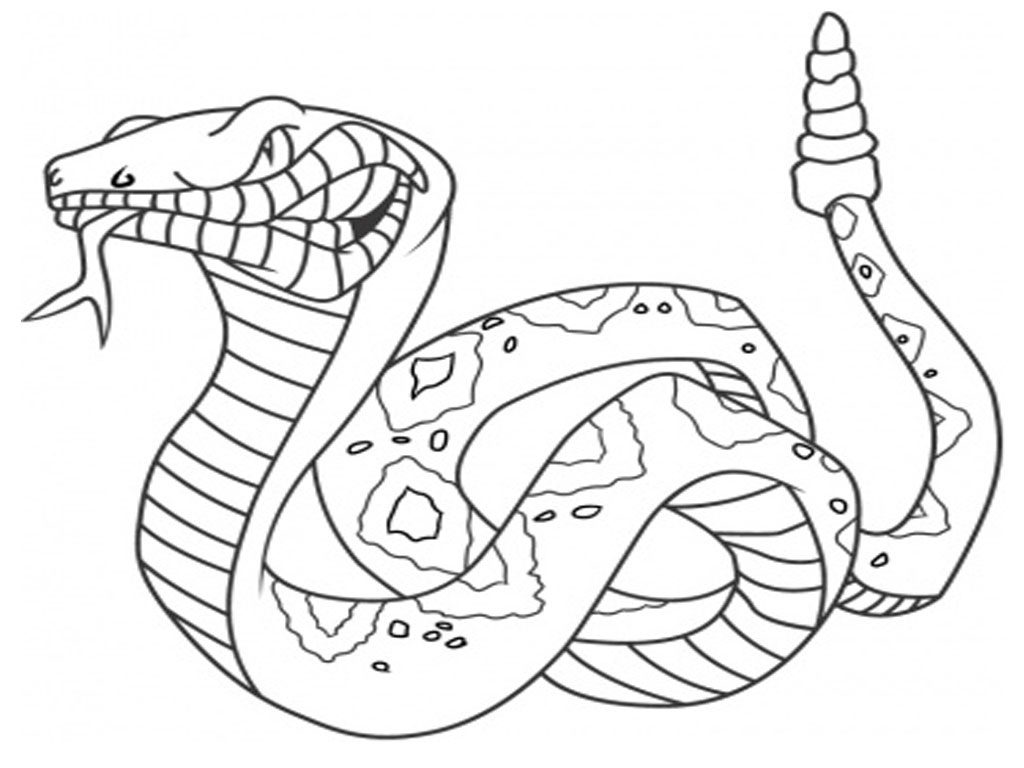 1024x768 Gopher Snake Coloring Pages Collection Coloring For Kids 2018