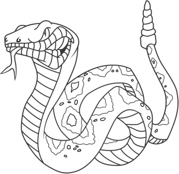 360x350 Rattlesnake Coloring Pages
