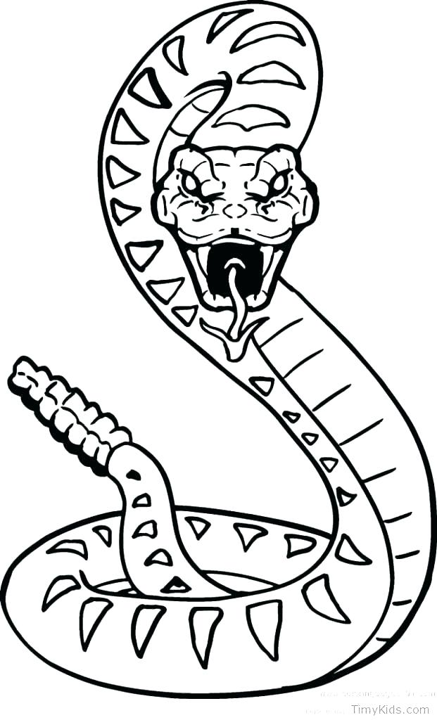 621x1024 Snake Coloring Pages Rattlesnake Coloring Page Coloring Page Snake