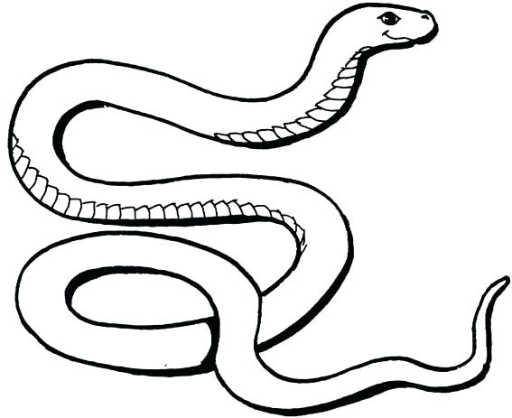 567x463 Snake Coloring Pages Snake Coloring Pages Snake Coloring Pages Pdf