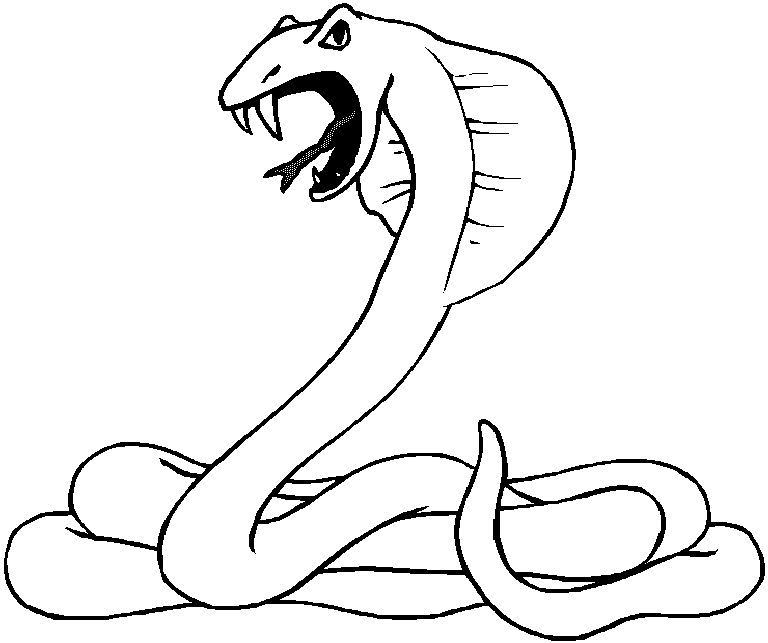 768x643 Snake Coloring Pages To Print Snake Coloring Pages Vitlt