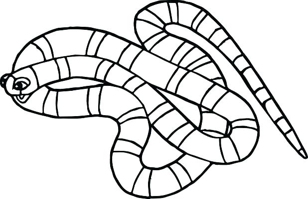 618x401 Snakes Coloring Pages