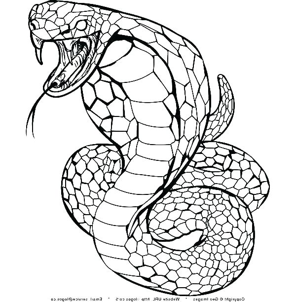 600x612 Coloring Pages Snakes Rattlesnake Coloring Pages Coloring Page