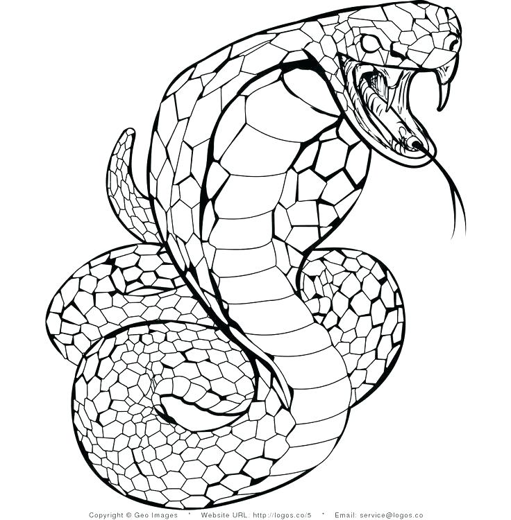 736x750 Coloring Pictures Of Snakes Coloring Pages Of Snakes Free