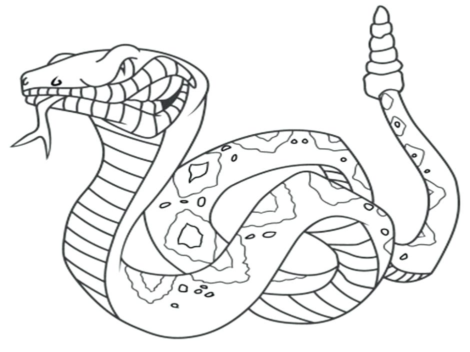 Snake Coloring Pages For Kids at GetColorings.com | Free printable