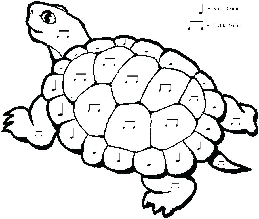 Sea Turtle Coloring Page Printable Cartoon Turtle Coloring Pages 900x762 Sea Turtle Coloring Page Printable Cartoon Turtle Coloring Pages