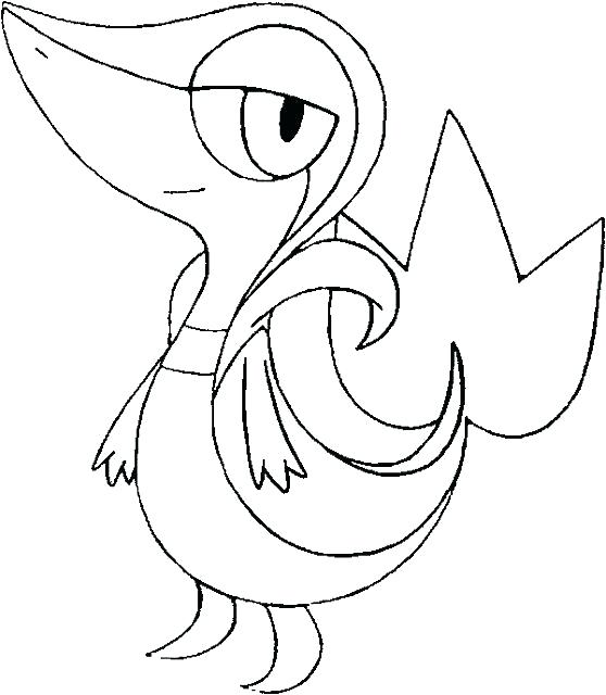 Snivy Coloring Pages Coloring Pages Coloring Pages Coloring Page E 558x640 Snivy Coloring Pages Coloring Pages Coloring Pages Coloring Page E