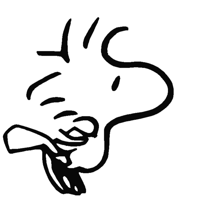 700x700 Snoopy And Woodstock Coloring Pages