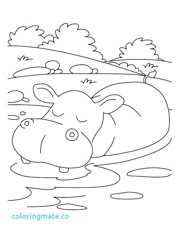 Hippo Coloring Pages Hippo Coloring Pages To Print Cute Hippo 612x792 Hippo Coloring Pages Hippo Coloring Pages To Print Cute Hippo