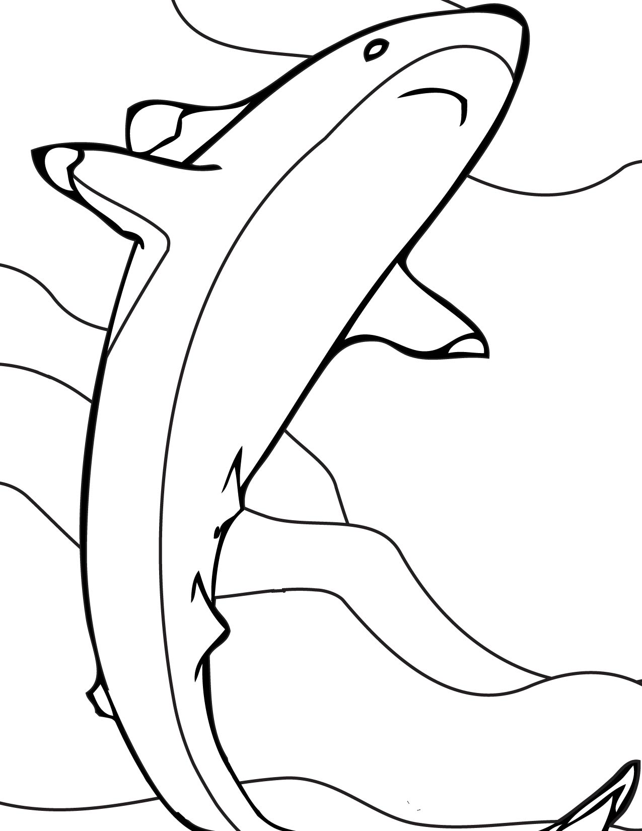 Blacktip Reef Shark Coloring Page 1275x1650 Blacktip Reef Shark Coloring Page