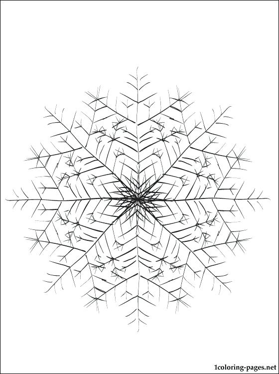 Snowflake Coloring Pages Adirondack Snowflakes Snowflake Coloring 560x750 Snowflake Coloring Pages Adirondack Snowflakes Snowflake Coloring
