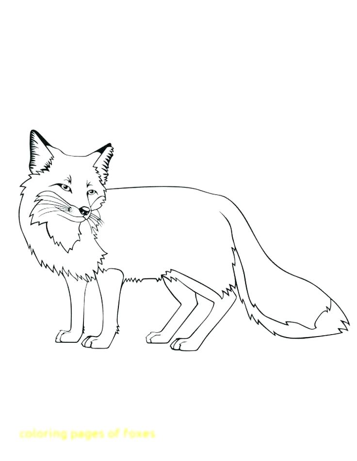 736x952 Red Fox Coloring Pages Arctic Coloring Pages Red Fox Coloring