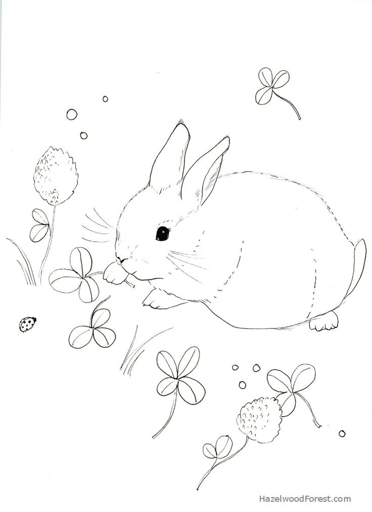 Snowshoe Coloring Pages