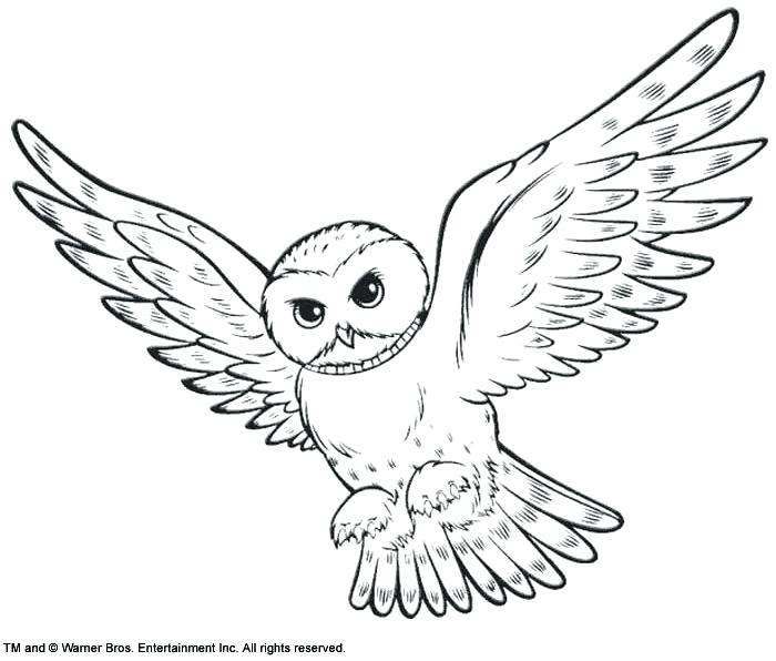 Snowy Coloring Pages