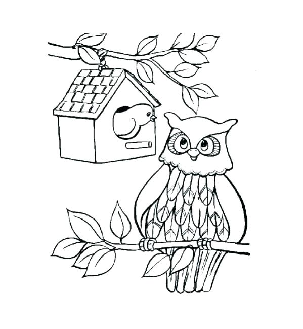 Coloring Page Owl 599x649 Coloring Page Owl