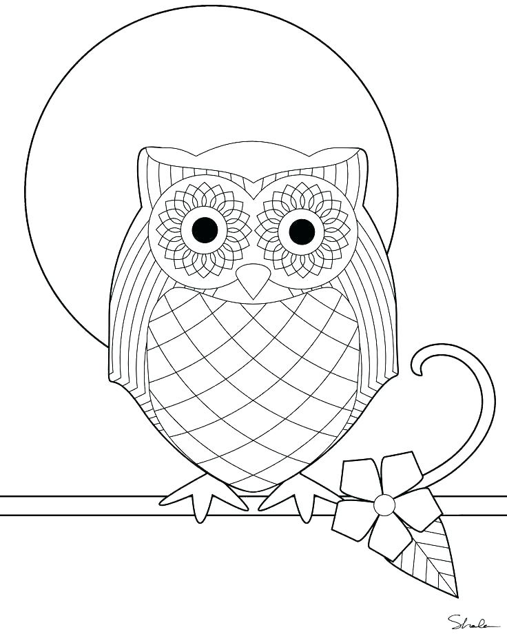 736x920 Snowy Owl Coloring Page And Snowy Owl Coloring Page Coloring