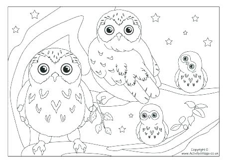 460x325 Snowy Owl Coloring Pages Snowy Owl Coloring Page Arctic Fox
