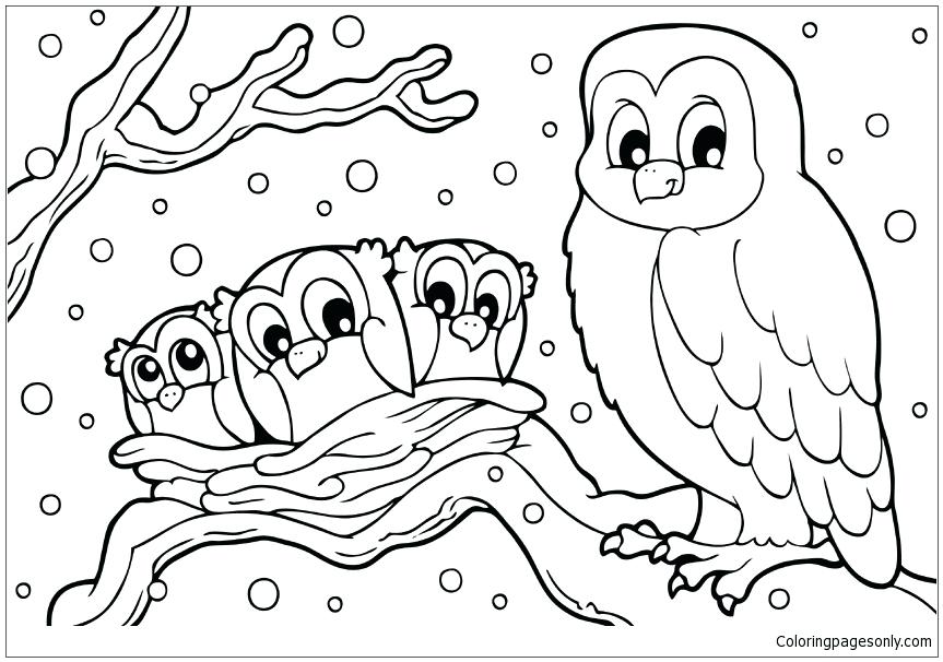863x606 Buho Nival Para Colorear Winter Snowy Owl Coloring Page Dibujos
