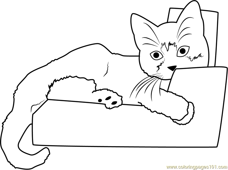 Kitten Sleeping On Sofa Coloring Page 800x598 Kitten Sleeping On Sofa Coloring Page