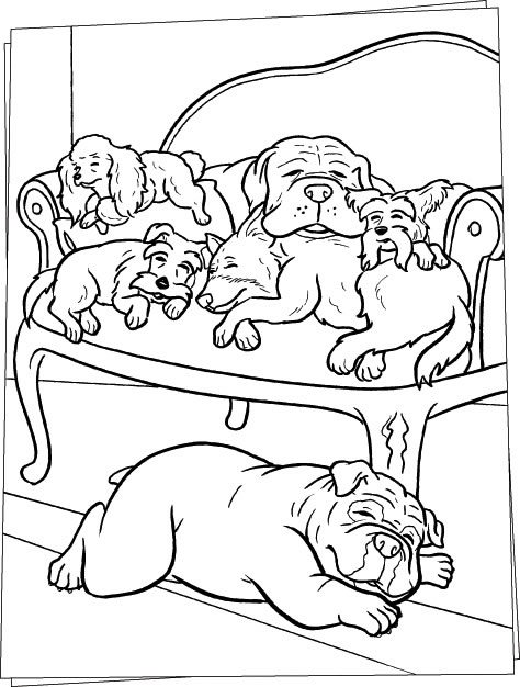 Sleeping Dogs On Sofa Coloring Page Animal Pages 474x626 Sleeping Dogs On Sofa Coloring Page Animal Pages