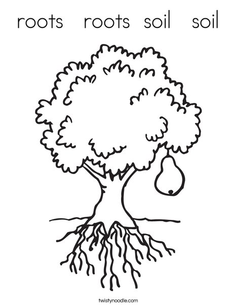 468x605 Roots Roots Soil Soil Coloring Page