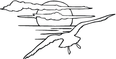 480x246 Free Pictures Of Seagulls To Colour, Hanslodge Clip Art Collection