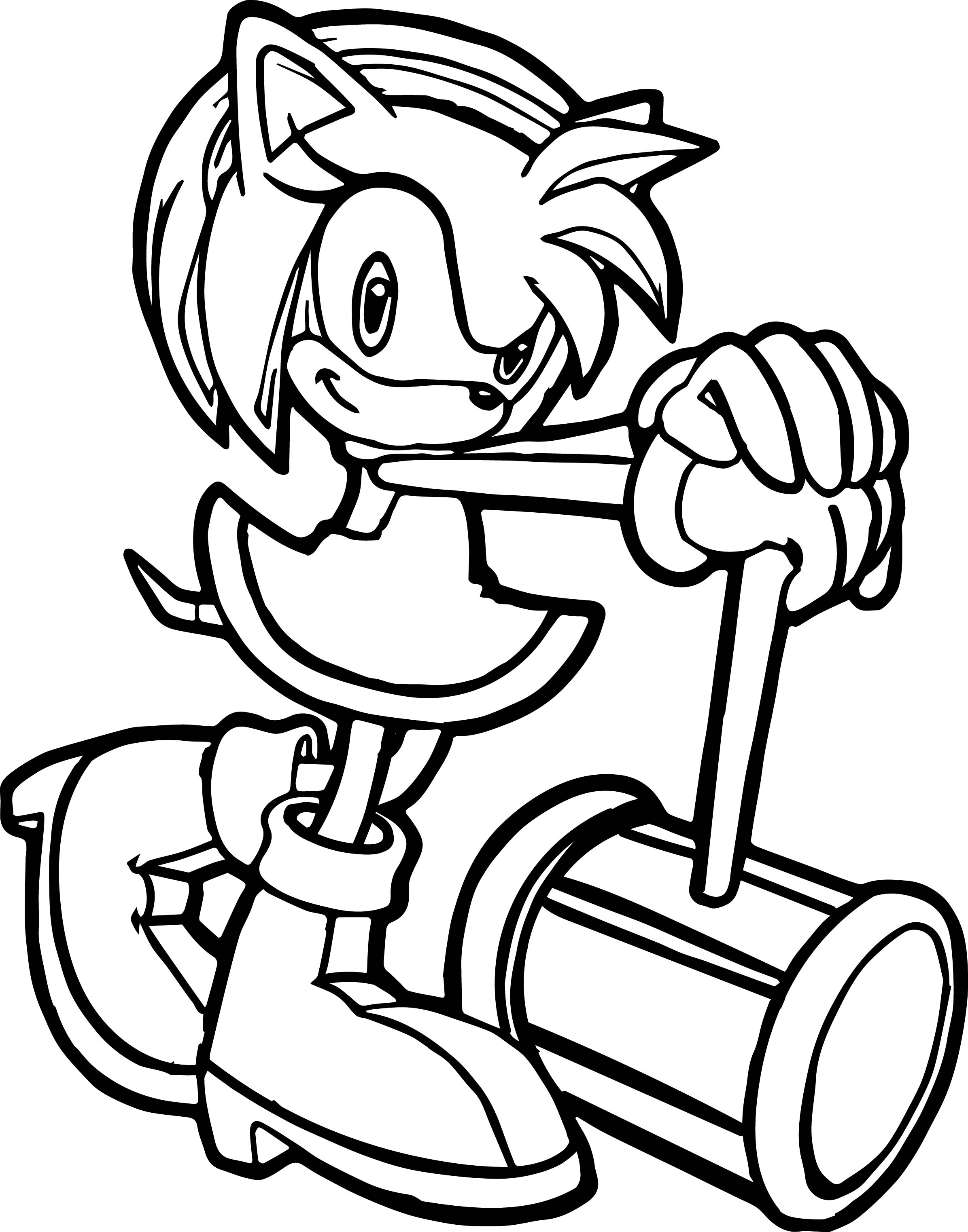 35+ fresh image Sonic Amy Coloring Pages : Sonic Amy Rose Coloring ...