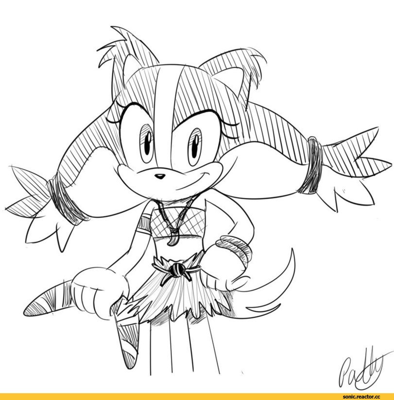 Badger Sonic Coloring Pages Sticks Things To Wear 811x825 Badger Sonic Coloring Pages Sticks Things To Wear