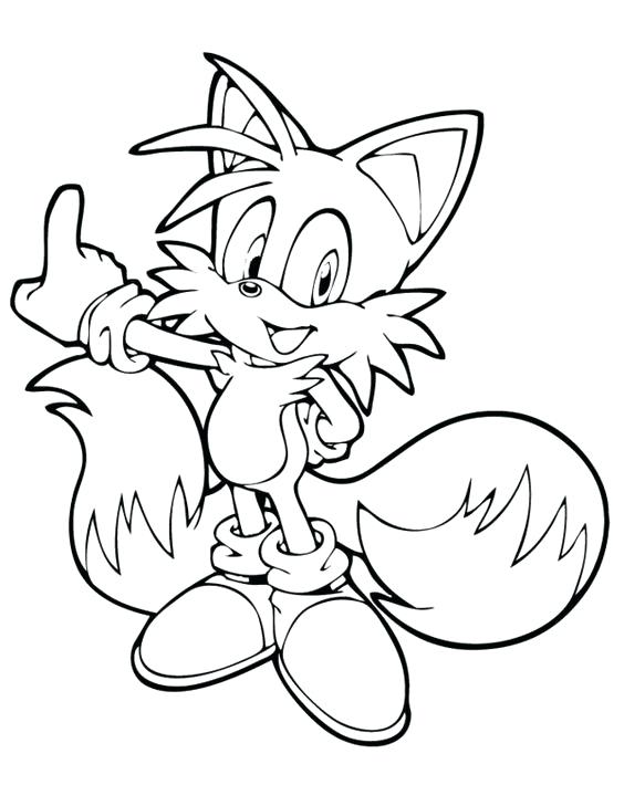 Hedgehog Color Free Printable Sonic The Hedgehog Coloring Pages 564x729 Hedgehog Color Free Printable Sonic The Hedgehog Coloring Pages