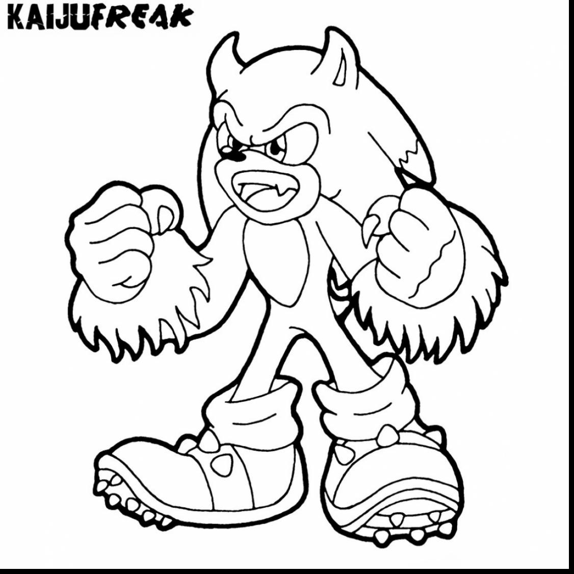 Obsession Hedgehog Coloring Pages Free 1126x1126 Obsession Hedgehog Coloring Pages Free