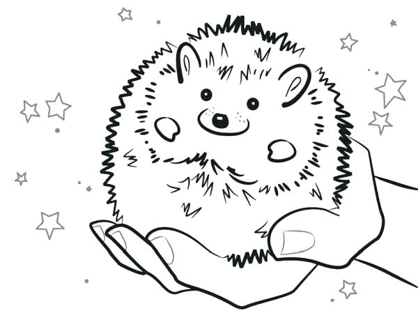 Sonic The Hedgehog Coloring Pages Free Sonic Hedgehog Coloring 600x462 Sonic The Hedgehog Coloring Pages Free Sonic Hedgehog Coloring