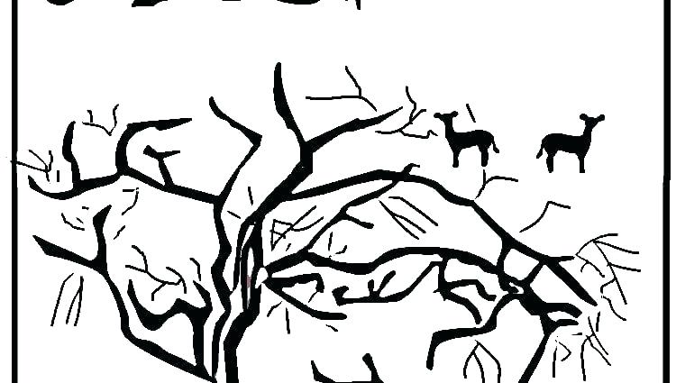 750x425 Africa Coloring Page Map Of Coloring Page Click The Springbok