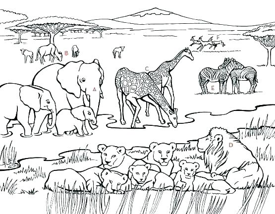 555x432 Desert Coloring Pages South Africa Coloring Pages