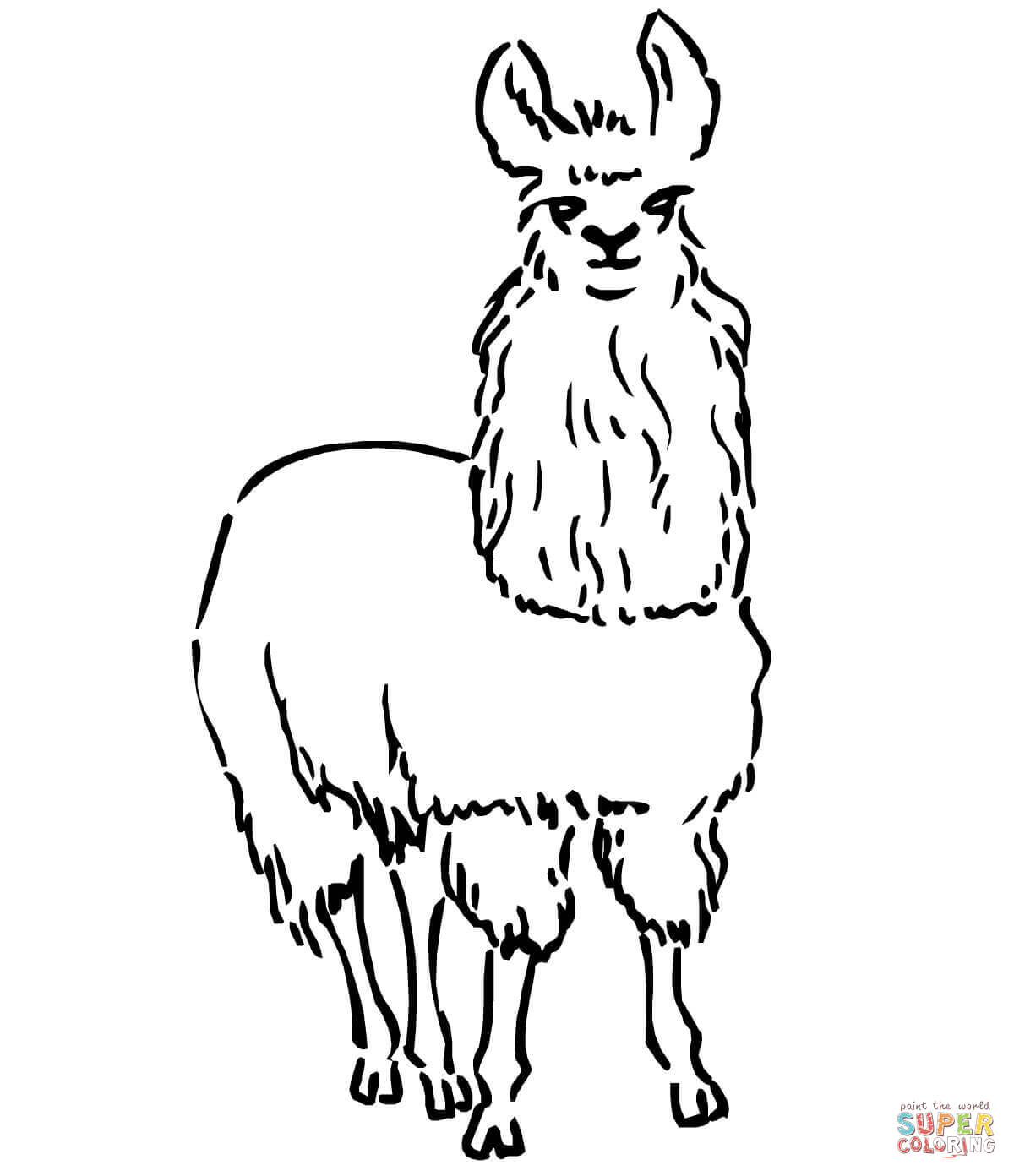 South American Llama Coloring Page 1200x1392 South American Llama Coloring Page
