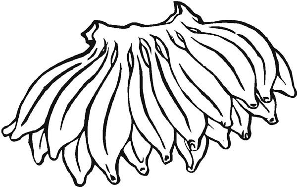 Banana From South America Coloring Page Coloring Sun 600x377 Banana From South America Coloring Page Coloring Sun